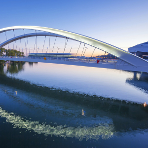 Pont Raymond Barre à la Confluence © Frédéric Prochasson / Shutterstock 244569208