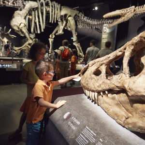 Children - Musée des Confluences