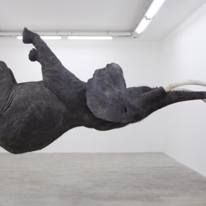 Art Contemporain © Daniel Firman, Nasutamanus Biennale Art Contemporain 2012